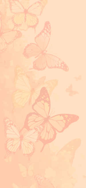 Mahiwagang Paruparo - Aesthetic Butterfly Wallpaper — OnePlus 12 Wallpaper
