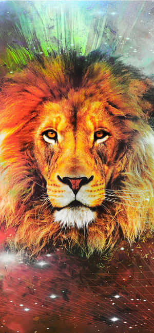 Lion background — iPhone Xr Wallpaper