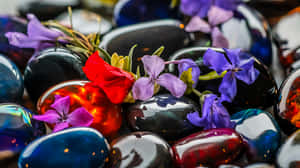 makinis,bato,bulaklak,ibabaw,close up,pula,lila,itim, — Surface Wallpaper