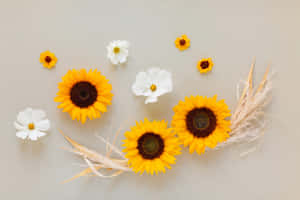 Mga larawan ng bulaklak — Floral Wallpaper