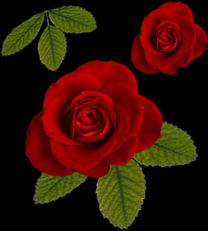 Rose Png File - Rosas at Dahon Png, Transparent Png — Rose Wallpaper
