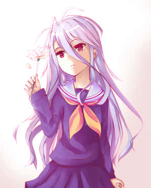 No Game No Life background