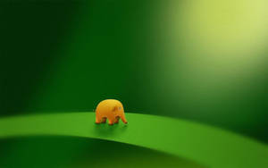 Maliit na Elepante Cute Desktop