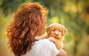 Maliit na Ginintong Cute na Tuta at Babae — Cute puppy Wallpaper