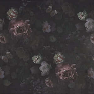 Mapa ng Bulaklak na Madilim na Background — Madilim na floral Wallpaper