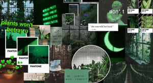 Mapanghikayat na Madilim na Luntiang Aesthetic Background — Dark green aesthetic Wallpaper