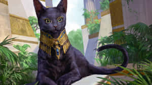 Mga Larawan ng Pusang Ehipsiyo — Aesthetic na pusa Wallpaper