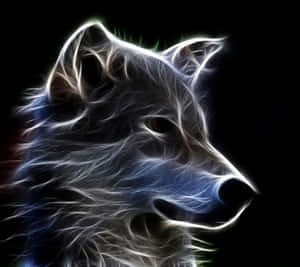 Lobo ng Galaksiya likuran — Galaxy na lobo Wallpaper