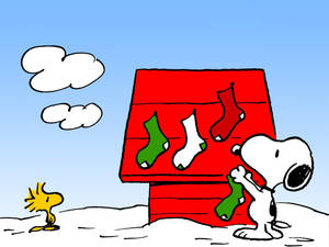 Wallpaper ng Medyas Pasko ni Snoopy — Snoopy pasko Wallpaper