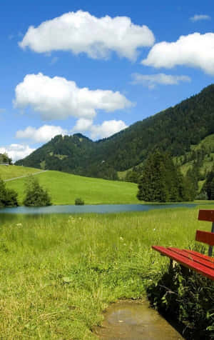 Nature Android Hd — Tecno Megapad SE Wallpaper