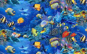 Wallpaper ng mga astig na isda sa asul na bahura ng korales