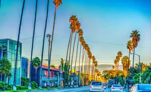 Wallpaper ng mga Bahay sa Sunset Boulevard