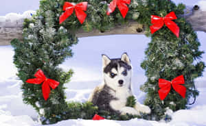 Mga Cute at Aesthetic na Larawan ng Pasko — Cute Aesthetic Christmas Wallpaper