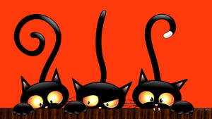 Mga Cute na Aesthetic na Itim na Pusa para sa Halloween — Cute aesthetic halloween Wallpaper