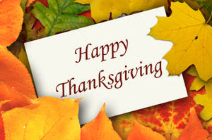 Mga Cute na Tuyok ng Taglagas — Cute Thanksgiving Wallpaper