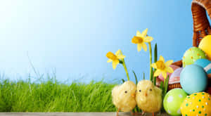 Mga Kaakit-akit na Easter Chicks at Itlog na Background