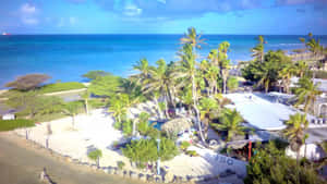 Mga Larawan ng Dalampasigan ng Aruba