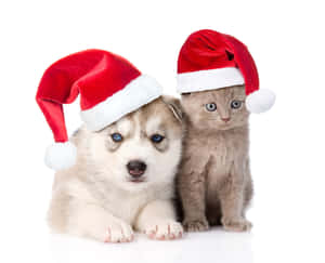 Mga larawang Pasko na cute at aesthetic