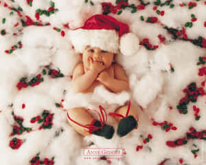 Mga larawang Pasko na nakatutuwa — Nakakatawang pasko Wallpaper