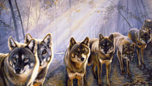 Mga Makatutulad na Lobo — Astig na lobo Wallpaper