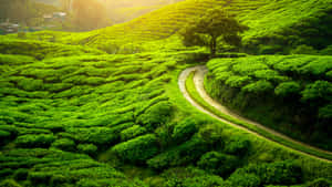 5120x2880 — 5120x2880 Wallpaper