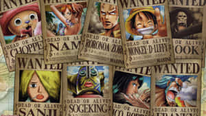 Straw Hat Pirates