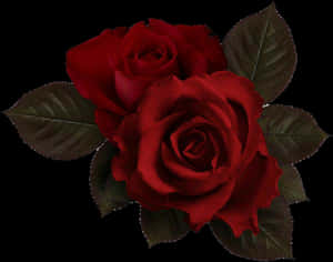 Larawan - Aesthetic na Pulang Bulaklak Png, Transparent na Png