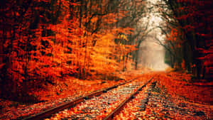 Fall Aesthetic background — Taglagas aesthetic Wallpaper