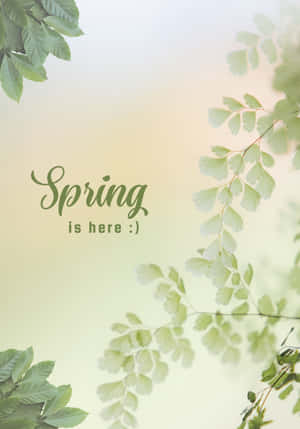 Best Spring Background — OnePlus Pad Go 2 Wallpaper