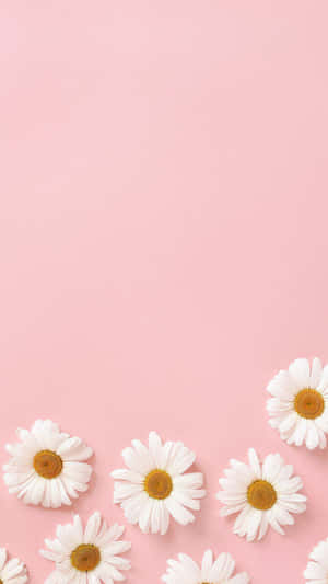 Pastel Pink na Background — Pastel pink aesthetic Wallpaper