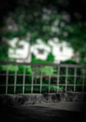 Maitim na Berdeng Background — OnePlus Pad Wallpaper