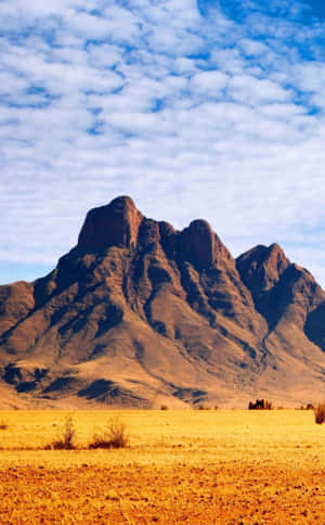 African Phone — Infinix Xpad 20 Wallpaper