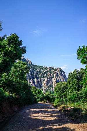 Forest Trail ng Montserrat — Forest Wallpaper