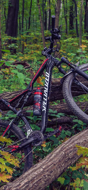 Mountain Bike Iphone — iPhone 15 Wallpaper