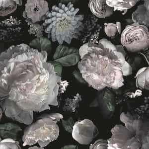 Nakakaakit na Madilim na Bulaklak na Background — Madilim na floral Wallpaper
