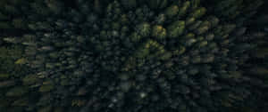 Nakakaakit na Uniberso na may Bumabagsak na Bituin — Dark mode Wallpaper