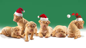 Nakawawa si Santa Claus sa Tsimneya — Nakakatawang pasko Wallpaper