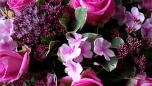 Pink Floral Background — Pink Floral Wallpaper