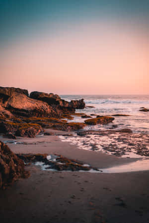Background ng Kalikasan — Nature Wallpaper