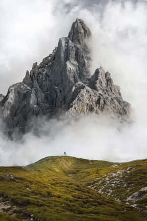 Background ng Kalikasan — Nature Wallpaper