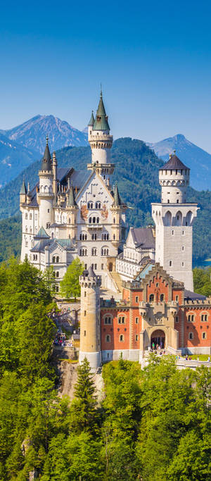 Neuschwanstein Castle Mountain Backdrop — OnePlus 11 Wallpaper