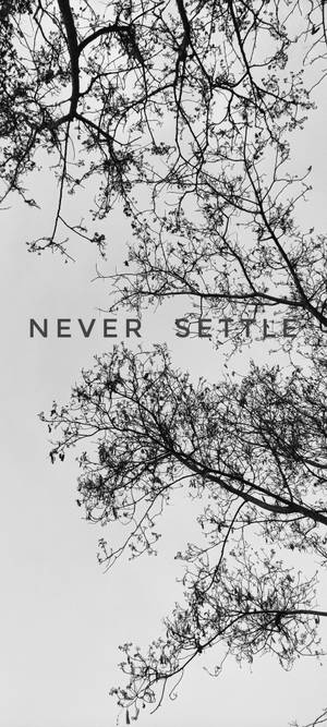Never Settle White Black Tree — Pixel 9a Wallpaper