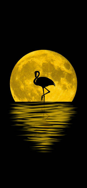 Note 10 Plus Flamingo Moon wallpaper — Pixel 10 Pro Wallpaper