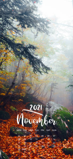 November 2021 Calendar foggy forest wallpaper — iPhone 13 Pro Max Wallpaper