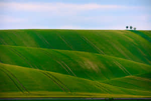 Green Nature background — MacBook Pro M3 Wallpaper
