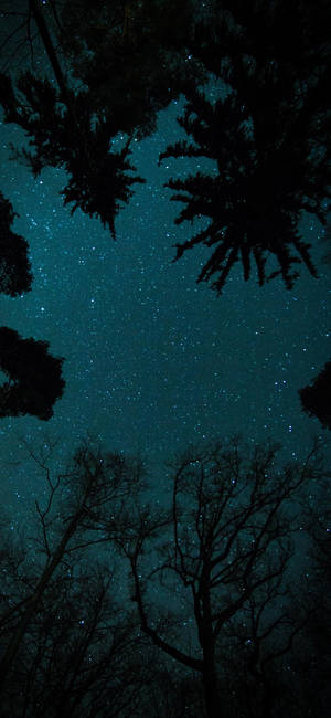 Oneplus Starry Night Sky wallpaper — 1320x2868 Wallpaper