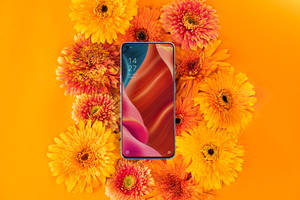 Oppo Smartphone at Malalago