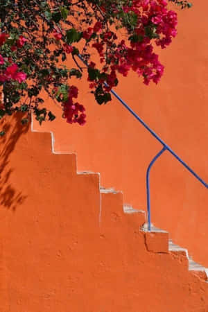 Mga larawan ng Orange Aesthetic — Orange aesthetic GIF Wallpaper
