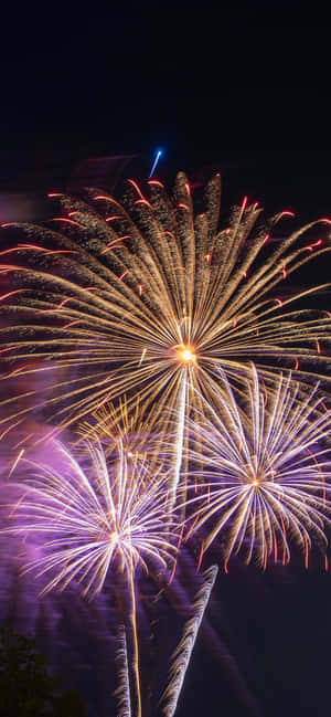 Fireworks Pictures — iPhone X Wallpaper