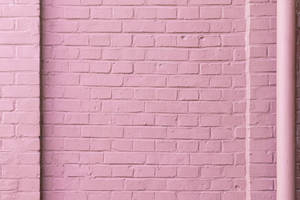 Paderang Kulay Rosas na Brick Wall — Pastel pink Wallpaper
